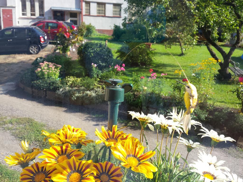 Apartment Anna Cesky Dub Εξωτερικό φωτογραφία
